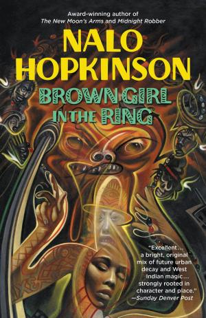 Cover of the book Brown Girl in the Ring by Lolly Winston