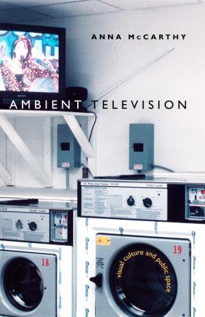 Cover of the book Ambient Television by Kandice Chuh