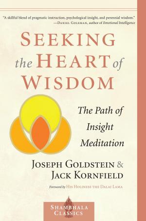 Cover of the book Seeking the Heart of Wisdom by Andrew Harvey