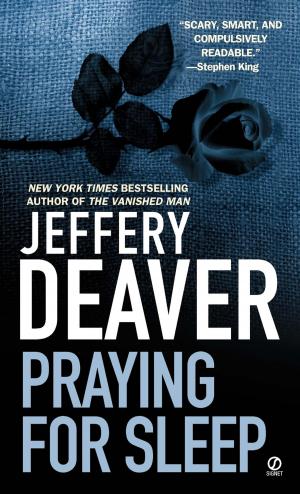 bigCover of the book Praying for Sleep by 