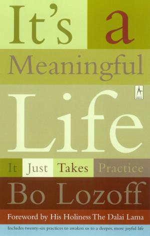 Cover of the book It's a Meaningful Life by Jared Diamond