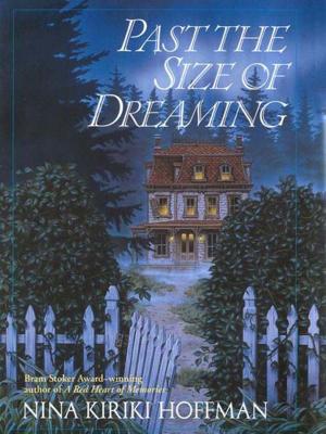 Cover of the book Past the Size of Dreaming by Nora Roberts