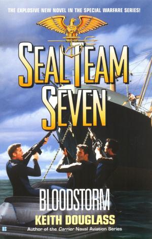 Cover of the book Seal Team Seven 13: Bloodstorm by Ginger Alden
