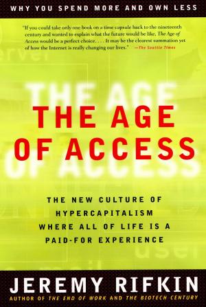 Cover of the book The Age of Access by Jennifer Chiaverini