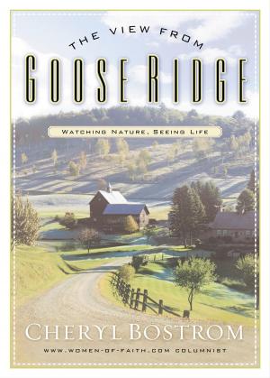 Cover of the book The View from Goose Ridge by Catherine Hickem