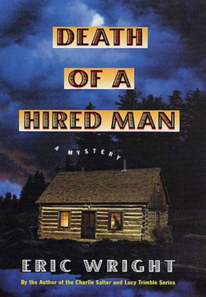 Cover of the book Death of a Hired Man by P. T. Deutermann