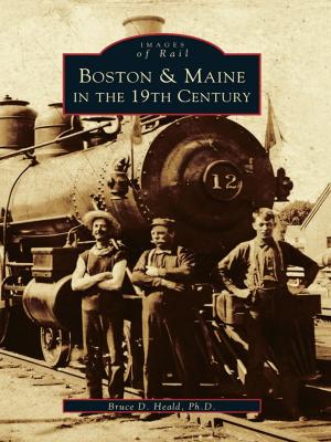 Cover of the book Boston & Maine in the 19th Century by Thomas N. Wood III
