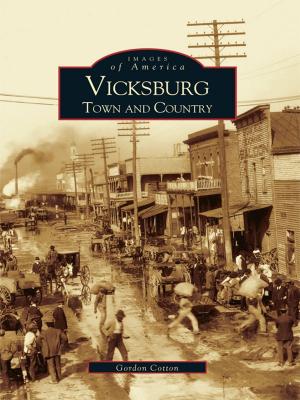 Cover of the book Vicksburg by Stratton C. Murrell, Jean Murrell