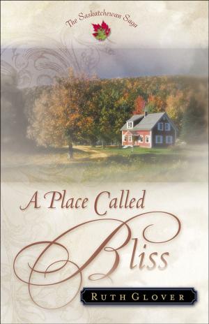 Cover of the book Place Called Bliss, A (Saskatchewan Saga Book #1) by Cindy Jacobs