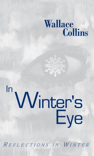 Cover of the book In Winter's Eye by Kristina Gockenbach