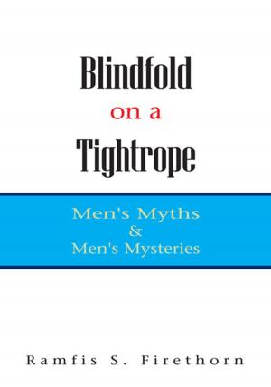 Cover of the book Blindfold on a Tightrope by Darlene Porter