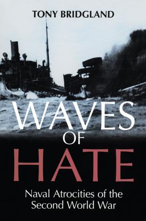 Book cover of Waves of Hate