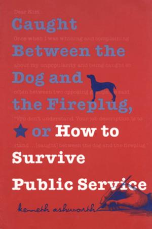 Cover of the book Caught Between the Dog and the Fireplug, or How to Survive Public Service by Jacqueline Vaughn Switzer, Jacqueline Vaughn Switzer