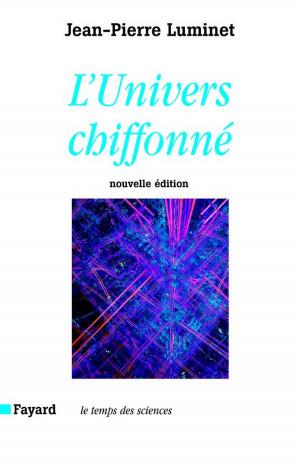 Book cover of L'Univers chiffonné