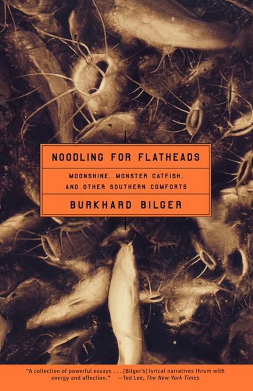 Cover of the book Noodling for Flatheads by Burkhard Bilger, Scribner