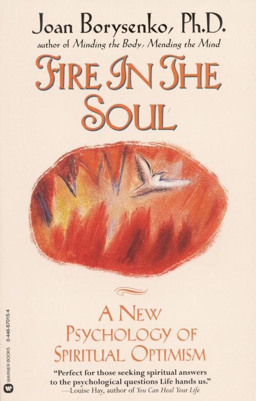 Cover of the book Fire in the Soul by Joan Borysenko, Grand Central Publishing