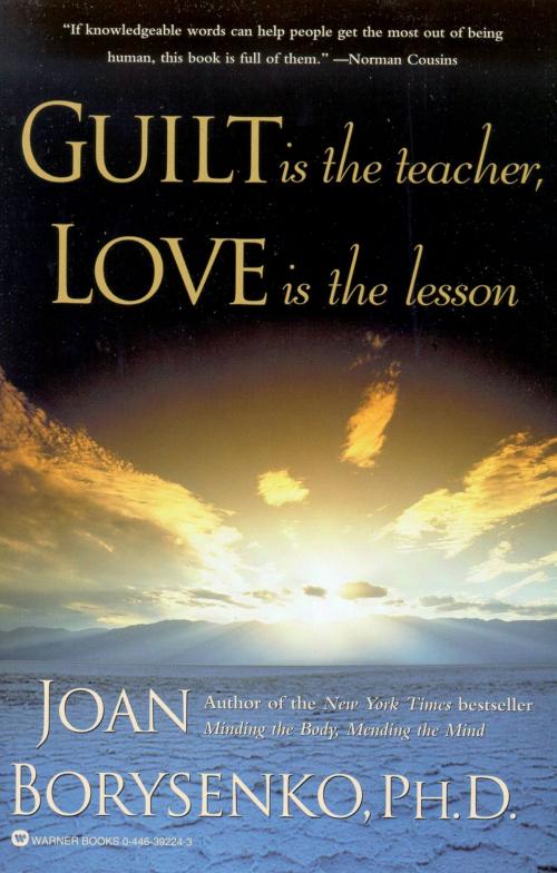 Cover of the book Guilt is the Teacher, Love is the Lesson by Joan Borysenko, Grand Central Publishing