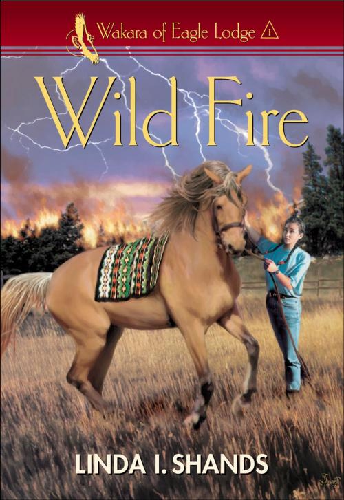 Cover of the book Wild Fire (Wakara of Eagle Lodge) by Linda I. Shands, Baker Publishing Group