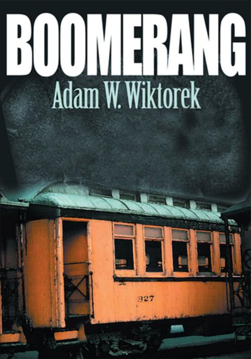 Cover of the book Boomerang by Adam W. Wiktorek, iUniverse