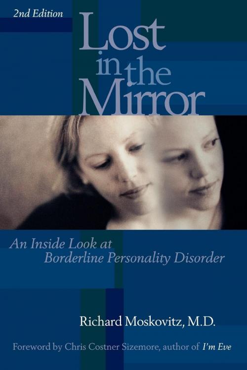 Cover of the book Lost in the Mirror by Richard A. Moskovitz, Taylor Trade Publishing