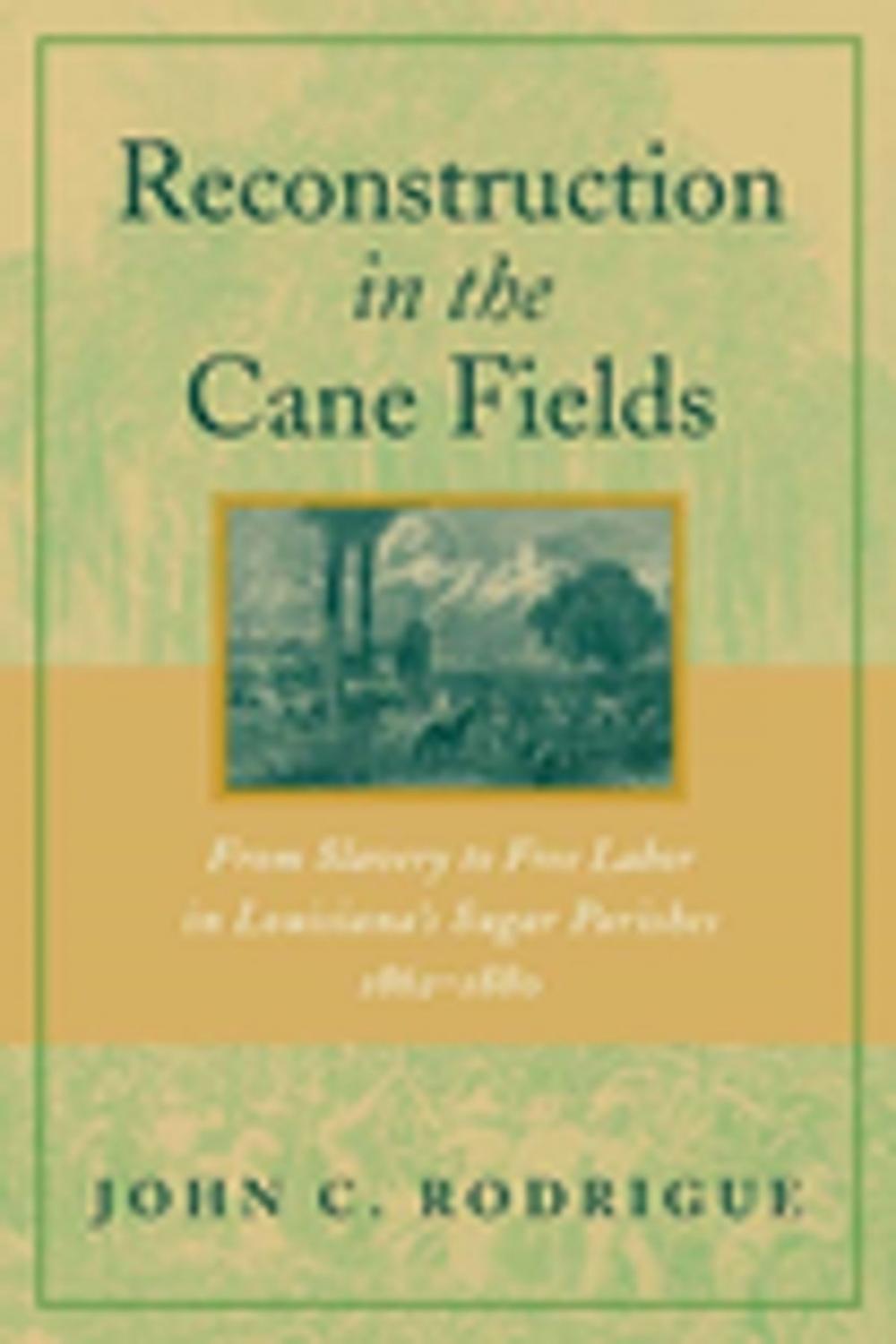 Big bigCover of Reconstruction in the Cane Fields