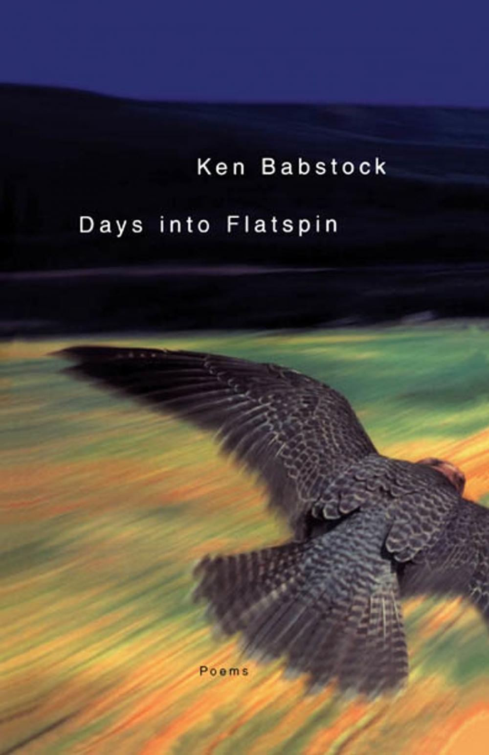 Big bigCover of Days Into Flatspin