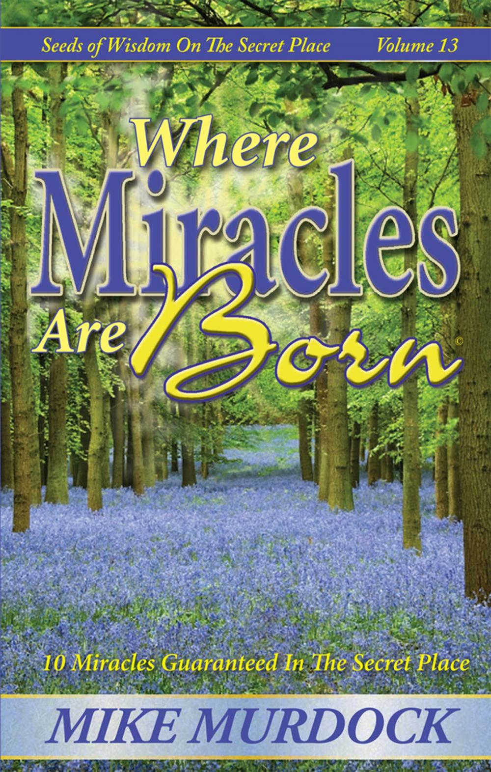 Big bigCover of Where Miracles Are Born