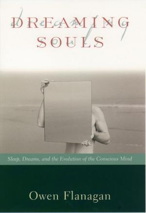 Cover of the book Dreaming Souls by Diana Menschig, Sebastian Bartoschek