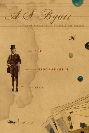 bigCover of the book The Biographer's Tale by 