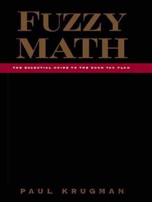 Cover of the book Fuzzy Math: The Essential Guide to the Bush Tax Plan by Susan Borkin