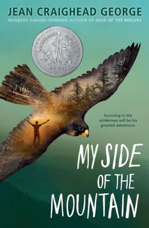 Cover of the book My Side of the Mountain by Deborah Freedman