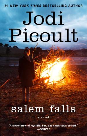 Cover of the book Salem Falls by Pamela Anderson