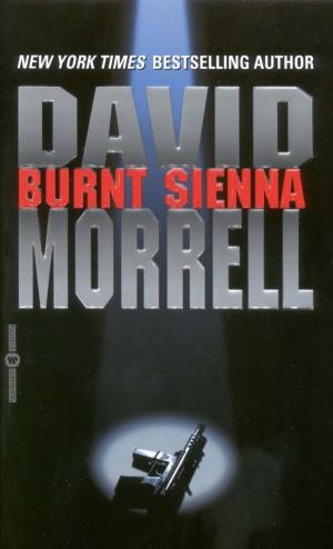 Cover of Burnt Sienna