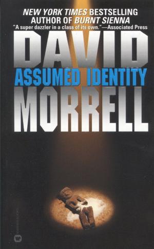 Book cover of Assumed Identity