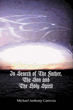 Cover of the book In Search of the Father, the Son and the Holy Spirit by Martin Sandy Doria