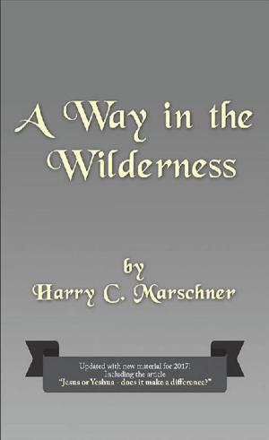 Cover of the book A Way in the Wilderness by Princess Adenike Akorede