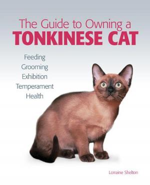Cover of the book Guide to Owning a Tonkinese Cat by Sheila Webster Boneham