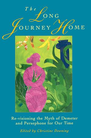 Cover of the book The Long Journey Home by Sean Michael Wilson