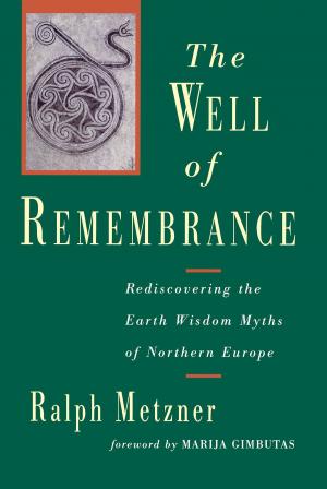 Cover of the book The Well of Remembrance by Sarah Harding