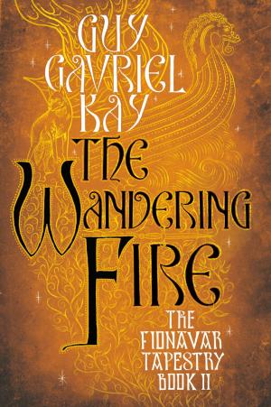 Cover of the book The Wandering Fire by Jack Du Brul