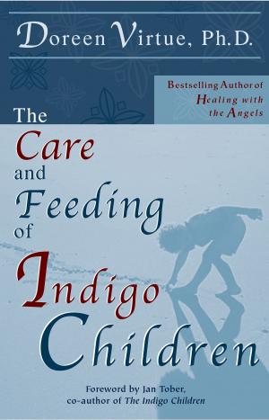 bigCover of the book The Care and Feeding of Indigo Children by 