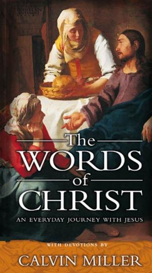 Cover of the book The Words of Christ: An Everyday Journey With Jesus by B&H Editorial Staff