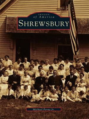 Cover of the book Shrewsbury by Carol Ann Gregory