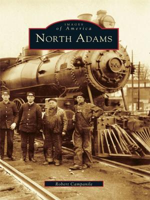 Cover of the book North Adams by Marc Newman
