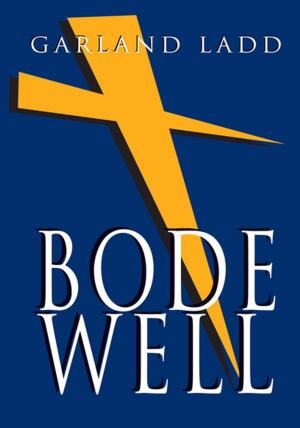 Cover of the book Bode Well by Heidi Esmeralda Peratoner