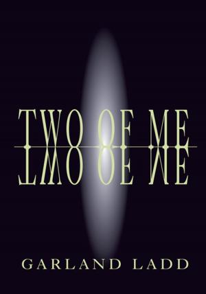 Cover of the book Two of Me by TLR Adams