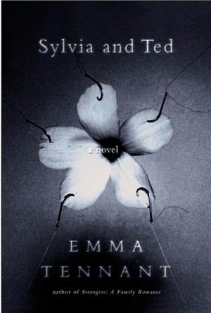 Cover of the book Sylvia and Ted by Elise Primavera