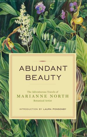 Cover of Abundant Beauty
