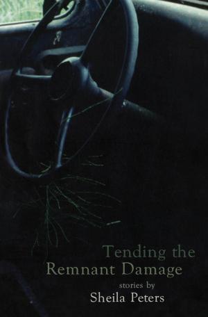 Cover of the book Tending the Remnant Damage by Sylvia Maultash Warsh