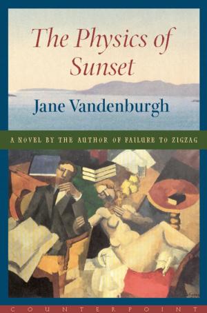 Cover of the book Physics of Sunset by John Daniel